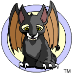 IlLuvKougra